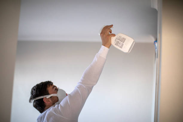 Best Residential Mold Removal  in Green Knoll, NJ