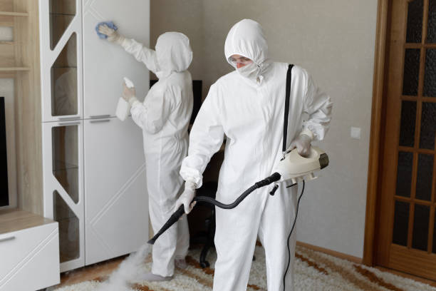 Attic Mold Removal in Green Knoll, NJ