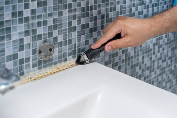 Best Local Mold Removal Service  in Green Knoll, NJ